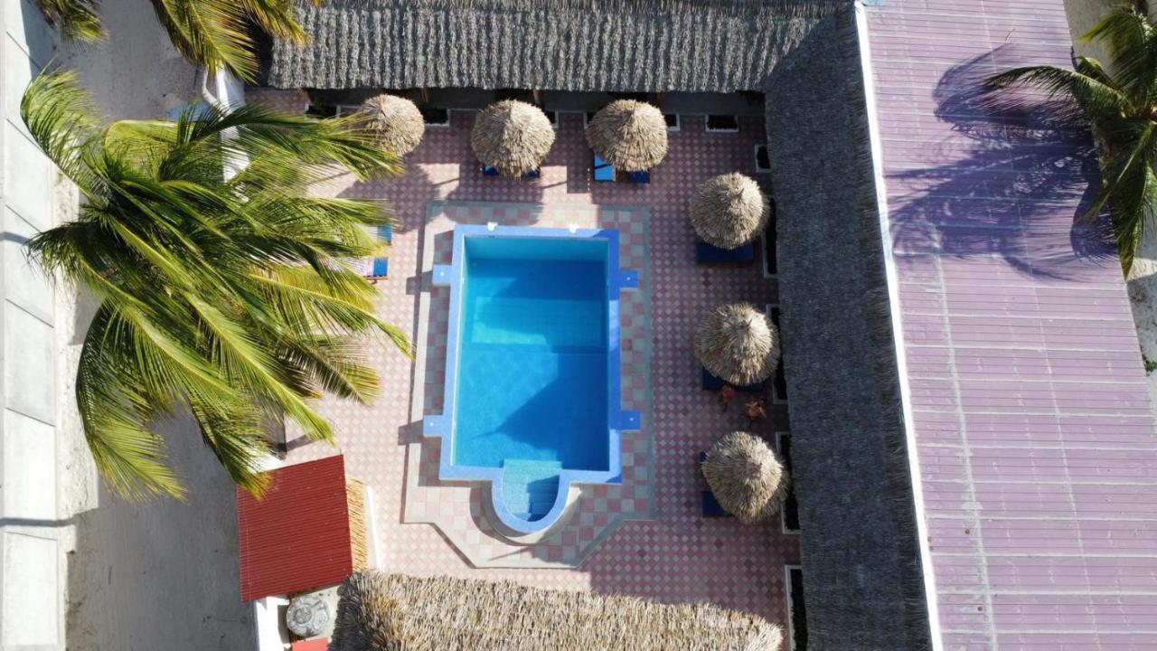 Amani Hotel פאג'ה מראה חיצוני תמונה